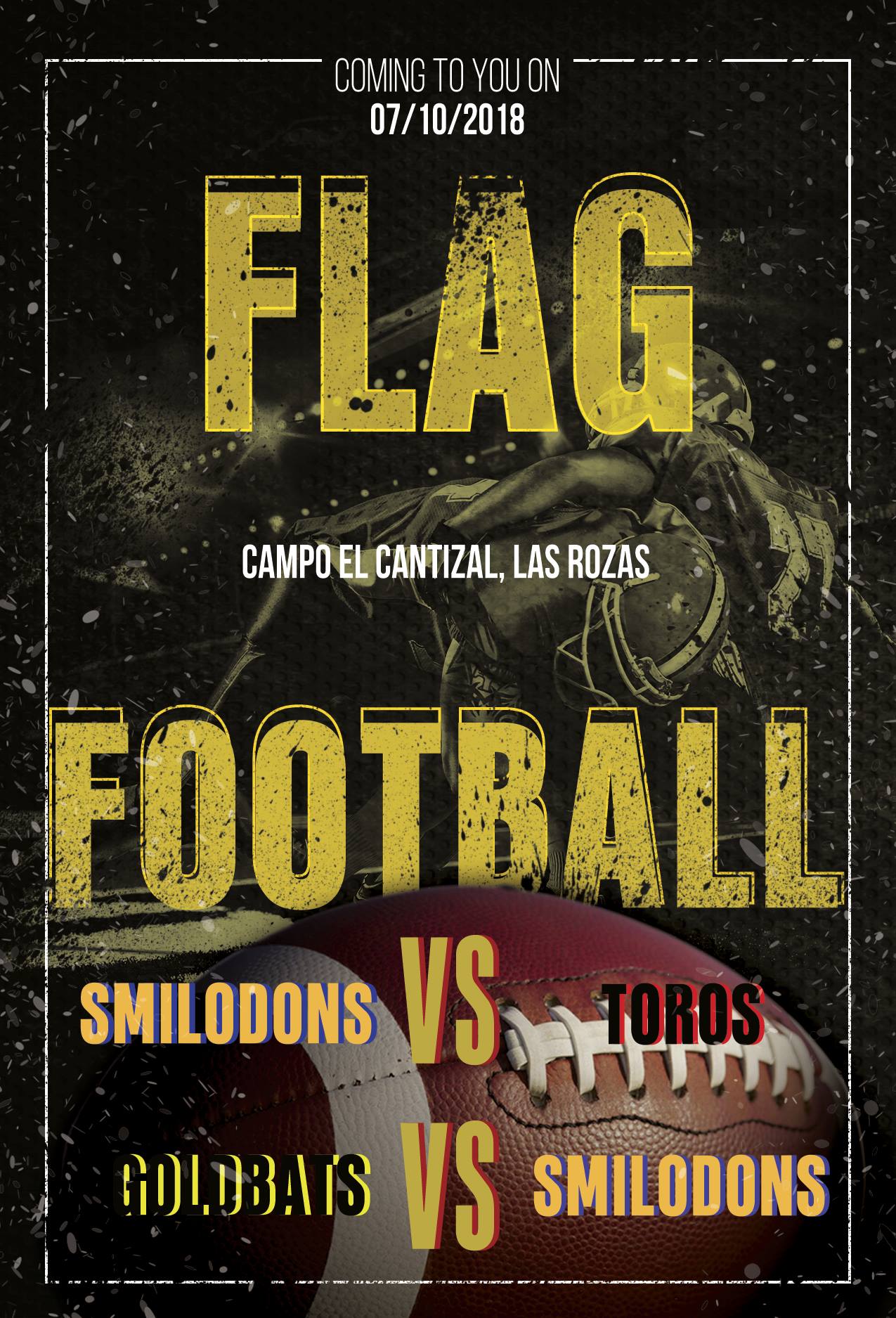 43168370_1830923330294863_5929130742138273792_o